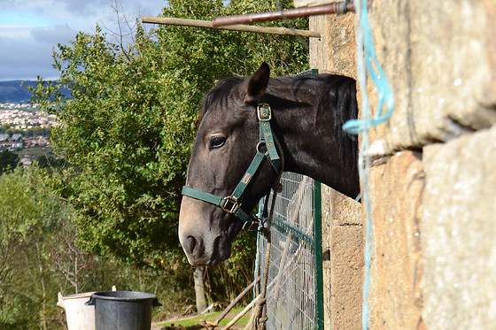 Escapadinha rural numa casa senhorial para 2 | Quinta da Mata - Chaves