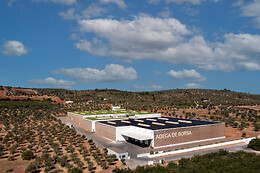 Adega de Borba