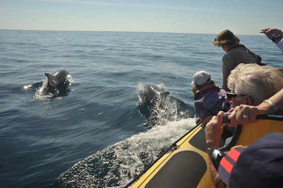 Passeios de Barco