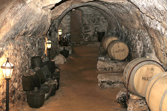 BODEGAS MALACUERA - photo 0