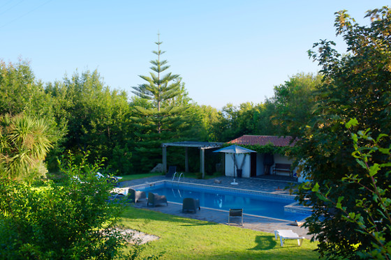 CASA DA MOTA - photo 6