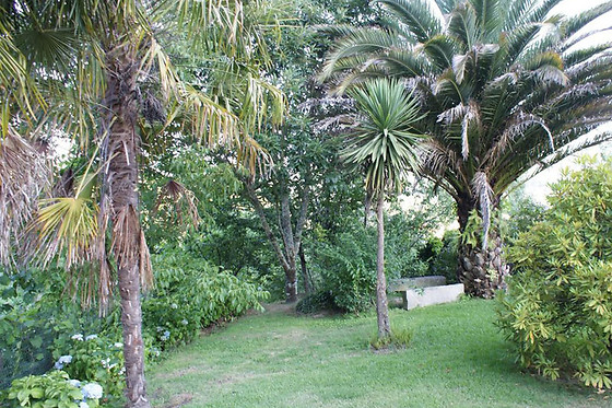 CASA DE CANHÕES - photo 2