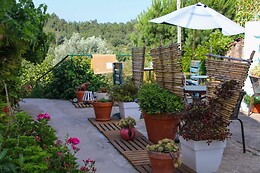 LAMEIRA DA LONGRA