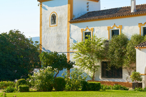 HACIENDA EL ROSALEJO - photo 9