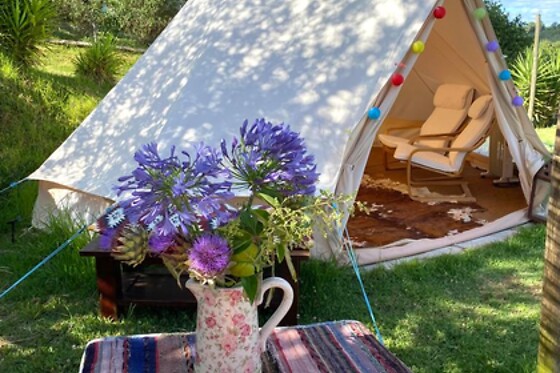 Uma noite em Yurt ou Lotus ou Rondável para 2 em Quinta Antes o Vento em Vimeiro (Leiria)