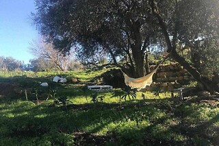 Uma noite em Eco-Villa com pequeno-almoço para 2 em Biovilla em Palmela (Setúbal)