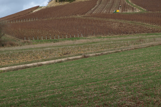 Champagne Perron-Beauvineau - photo 4