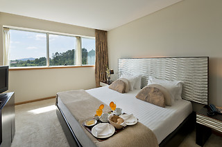 Penafiel Park Hotel & Spa em Penafiel