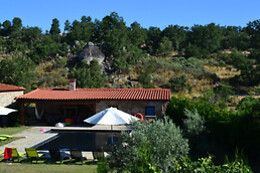 Carya Tallaya