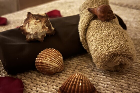 OCEAN SPA - photo 3