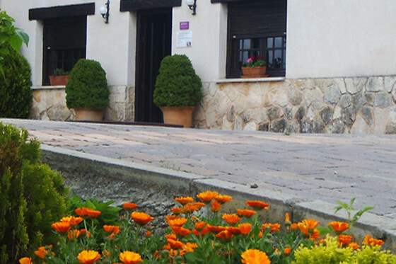 BODEGAS ISMAEL ARROYO - VALSOTILLO - photo 6