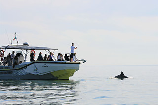 Sunset tour a bordo para 2 | Rota do Sal em Setúbal