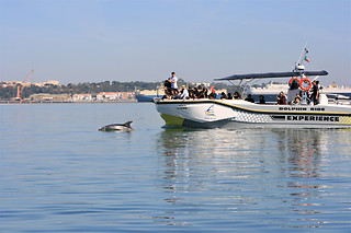 Sunset tour a bordo para 2 | Rota do Sal em Setúbal