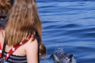 Um passeio de observação de golfinhos para 1 em Seadolphins Algarve em Portimão (Faro)