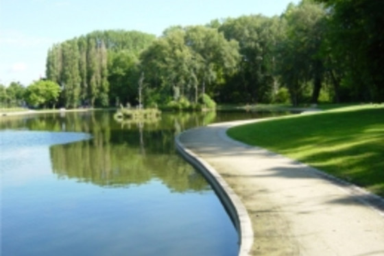 Gemotions - photo 9