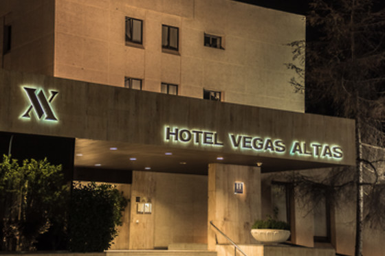 HOTEL VEGAS ALTAS - photo 9