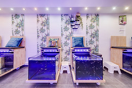Instant Fish Spa