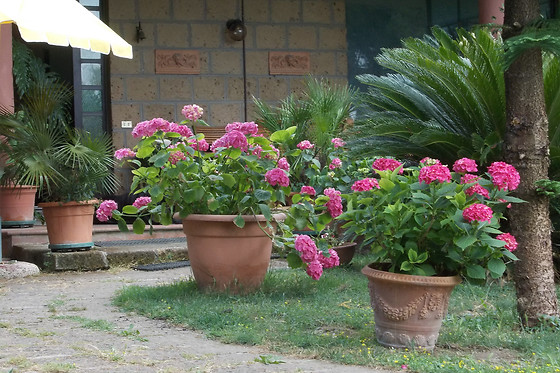 Bellavista Country House - photo 11