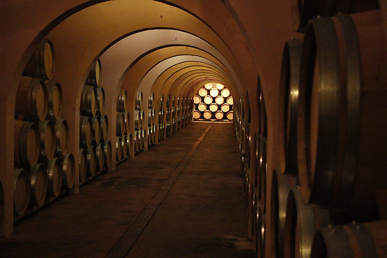 BODEGA LAS VIRTUDES - photo 1
