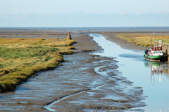 Hotel Waddengenot - photo 6
