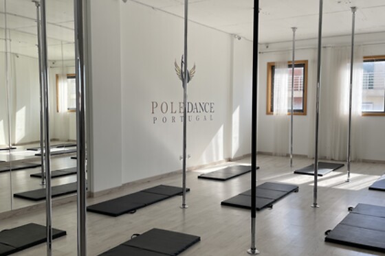 POLE DANCE - photo 0