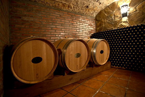 CELLER RONADELLES - photo 0