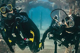 FREEANDIVERS