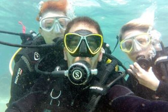 FREEANDIVERS - photo 4