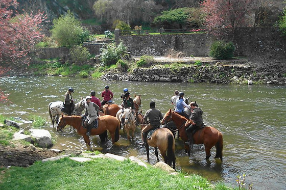 La ferme des tertres - photo 2