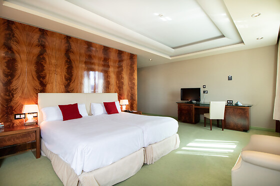 ALDA MIRADOR DEL MONCAYO - photo 1