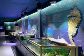 Bilhetes para família | Planetário de Marinha em Belém (Lisboa)