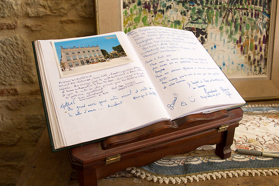 Château de Vallègue - photo 14