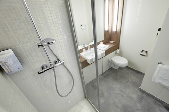Hôtel Campanile Lyon Ouest - Tassin - photo 6