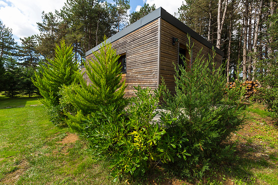 La Maison dans les Bois - photo 4