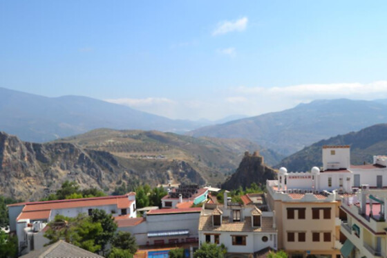 HOTEL ANDALUCIA DE LANJARON - photo 29