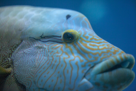 Aquarium de Paris - photo 12