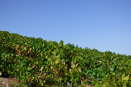 Le relais du colombier