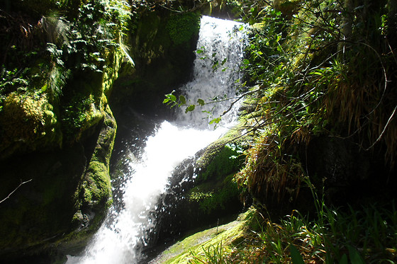 RUTAS XANZÁ - photo 13