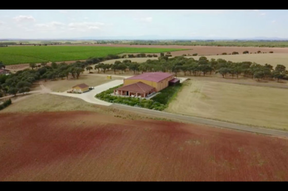 VILE LA FINCA - photo 11