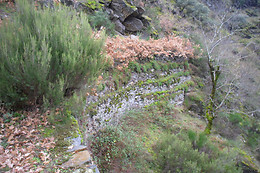 RUTAS XANZÁ