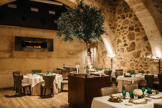 HOSPES PALACIO DE SAN ESTEBAN - photo 2