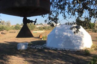 Uma noite em bolha para 2 em Forest Domes (Setúbal)