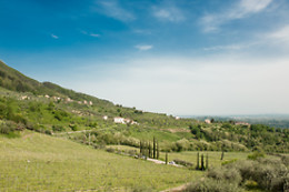 Agriturismo Al Vecchio Metato