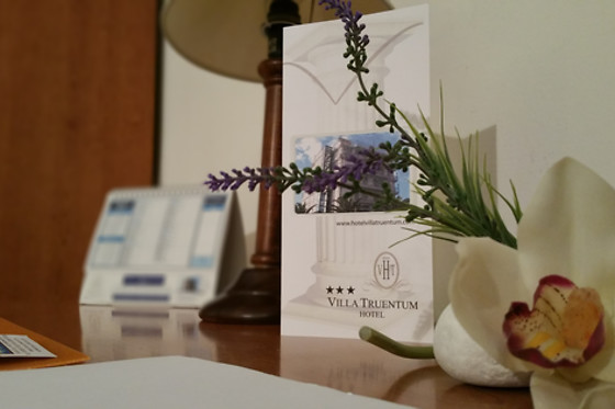 Hotel Villa Truentum - photo 2