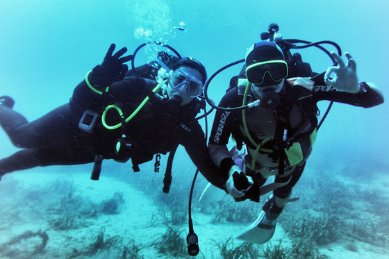 SCUBA ELX - photo 2