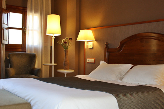 HOTEL INFANTADO - photo 9