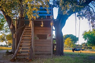 Duas noites em Casa na Árvore com pequeno-almoço para 2 em Direction South Glamping em Montargil (Portalegre)