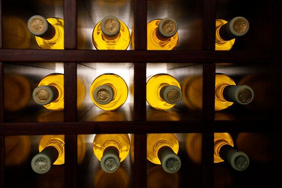 Hotel Carol - photo 13
