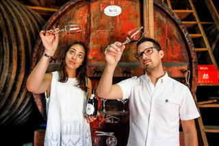 Visita Guiada + Prova de Vinhos para 2 | Quinta do Beijo, Sabrosa (Vila Real)