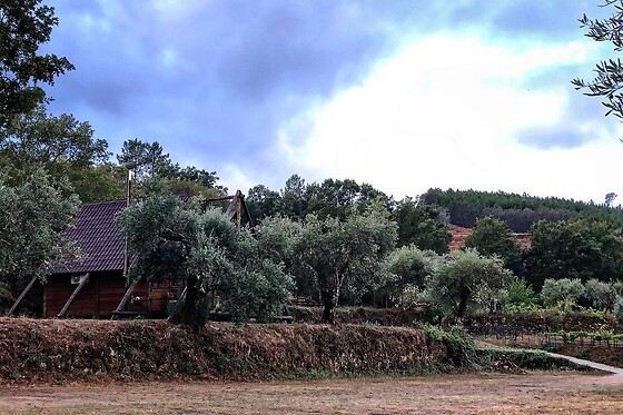 QUINTA DO RAGAL - photo 10